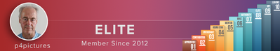 p4pictures banner.png