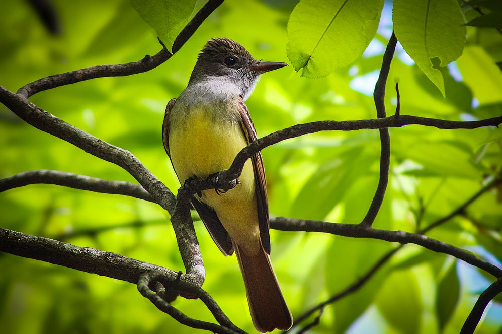 634299383 (1) (2).jpg