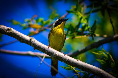 634106515 (1) (2).jpg