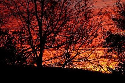 11-08-24 looking east.jpg