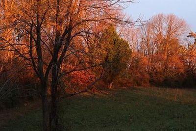 11-08-24 looking west.jpg