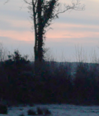 johnrmoyer_1-1765905926697.png