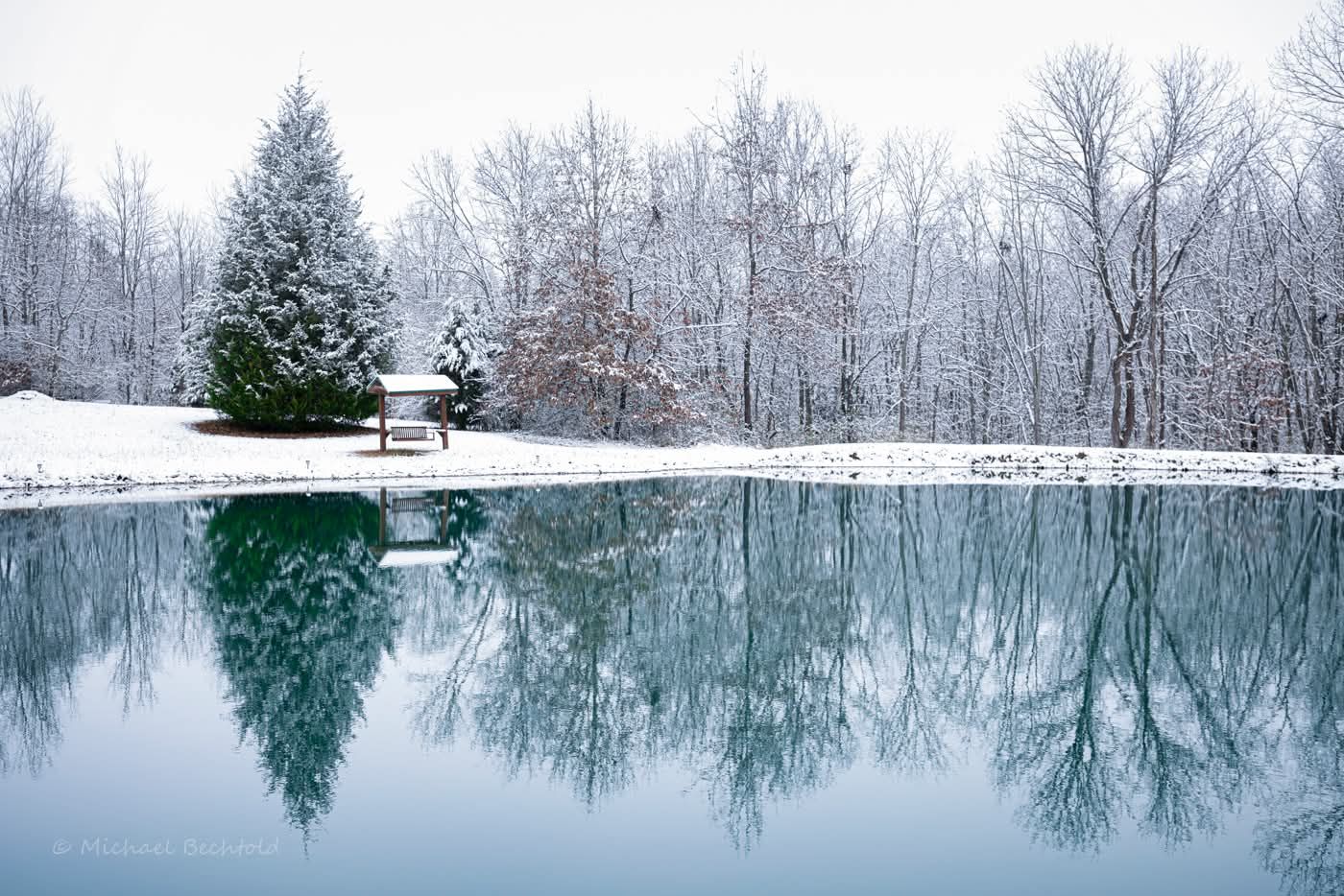 Snowy Reflections