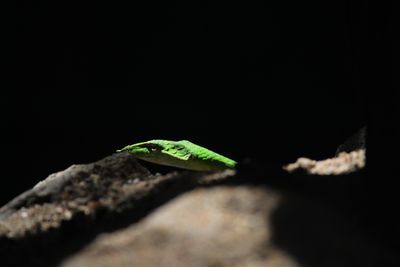 IMG_9489.JPG