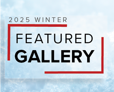 Explore & Get Inspired