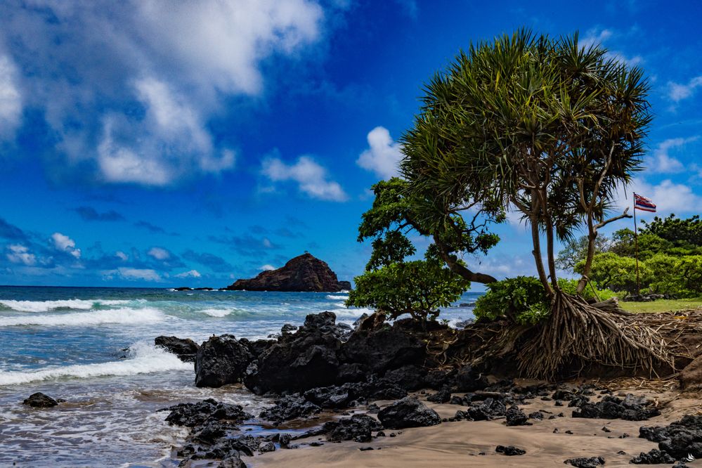 Maui-20-min.jpg