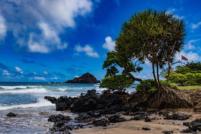 Maui-20-min.jpg