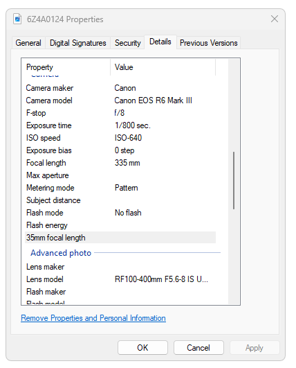 I set the camera at f/8 and 1/800