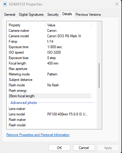I set the camera at iso 3200 and 1/800