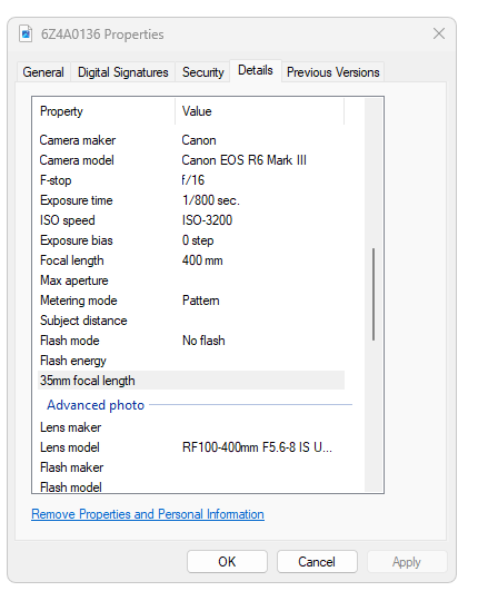 I set the camera again at iso 3200 and 1/800