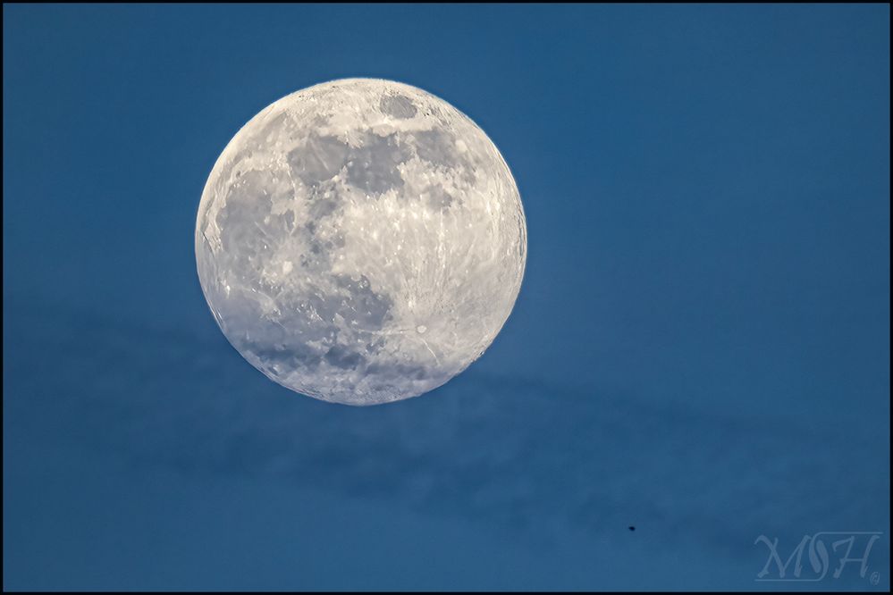 R5 - RF200-800 @ f9 - 1/1250 sec