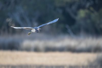 20260102-Canon EOS R6m2-209.jpg