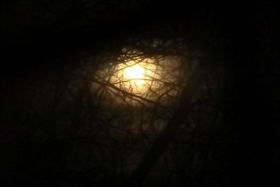 IMG_5148.JPG
