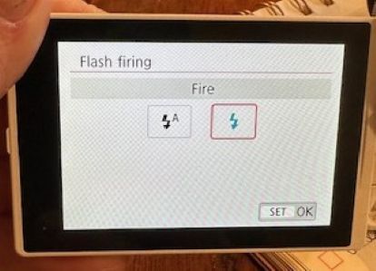 canon Flash seeting screen.jpg