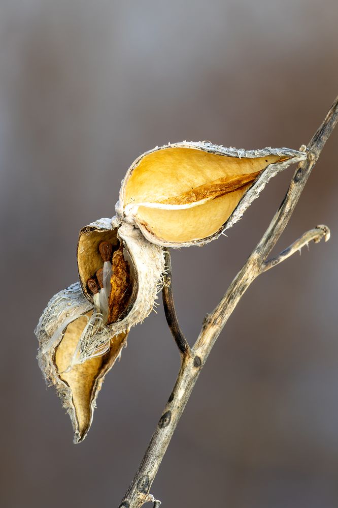 Winter 2025-26-20.jpg