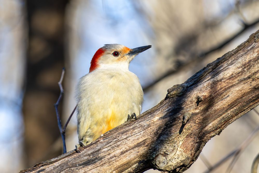 Winter 2025-26-21.jpg