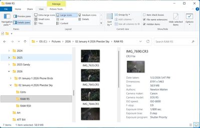 File Exp Details-1.jpg