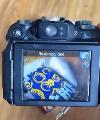 2fsd.png