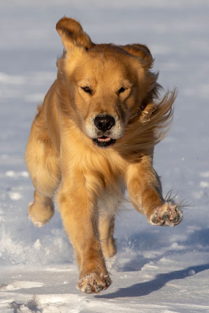 An extra of him running.