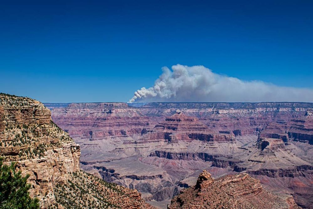 Dragon Bravo Fire later view.jpeg