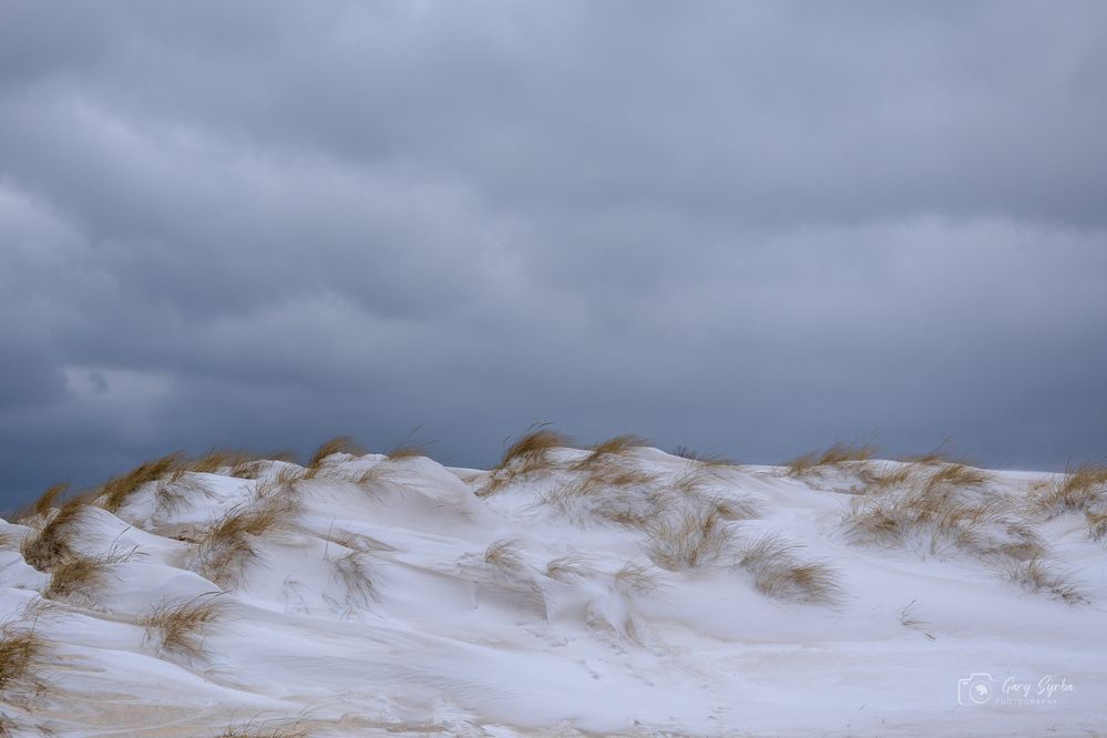 Winter 2025-26-36.jpg