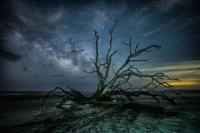 2023_February_Ossabaw Island_Canon Community.jpg