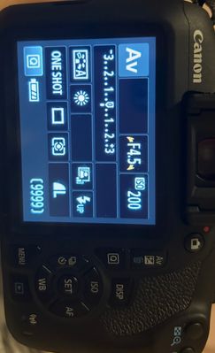 IMG_6726.jpeg