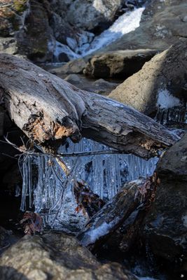CunninghamFalls-5-min.jpg