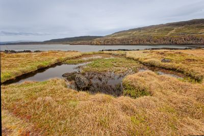 _F6A6715.jpg