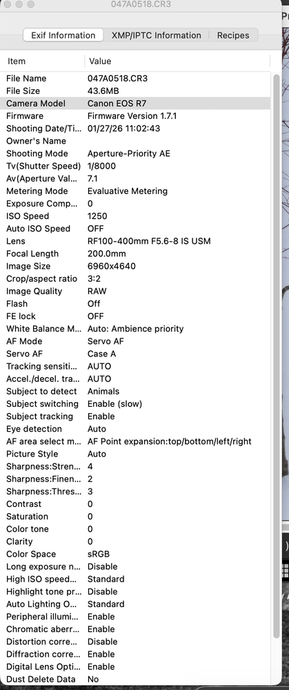 info for 100-400 image