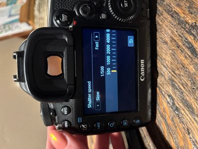 IMG_2648.jpeg