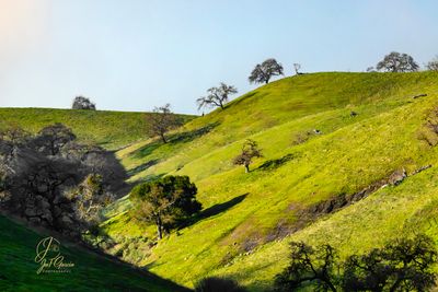 Coyote Valley@0.75x.jpg