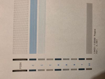 1000051296.jpg