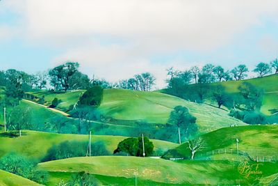 Sierra Vista Hills1-1@0.75x.jpg