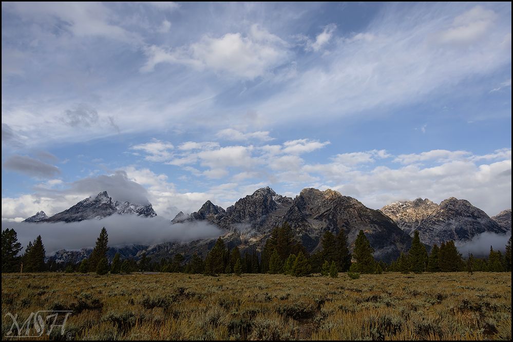 8620_Field of Flowers_Mountains_teton.jpg