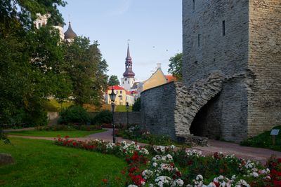 IMG_2567_DxO.jpg
