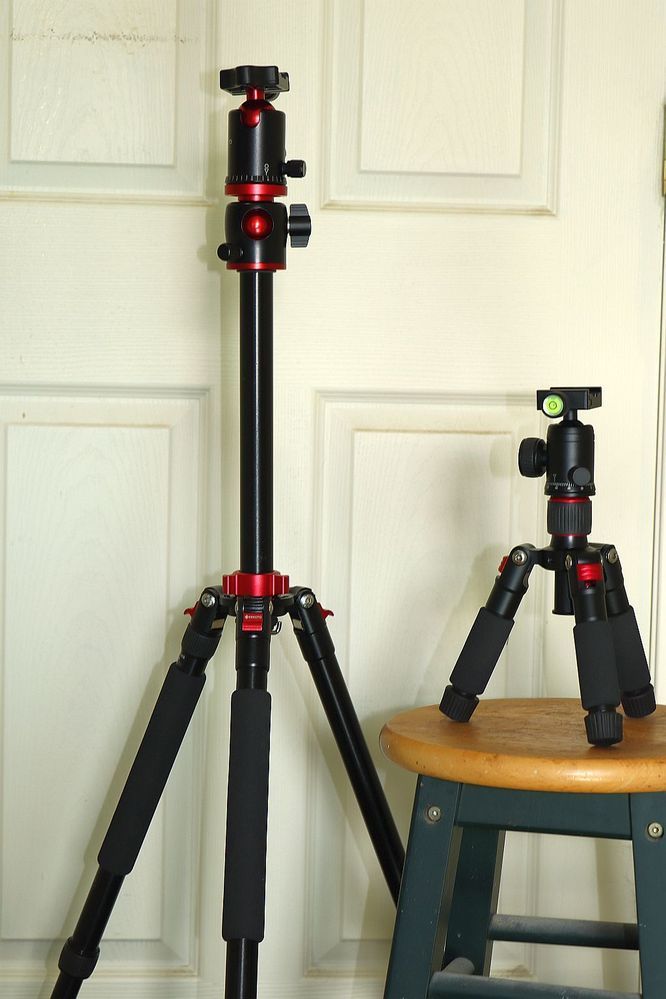 tripod had a baby.jpg