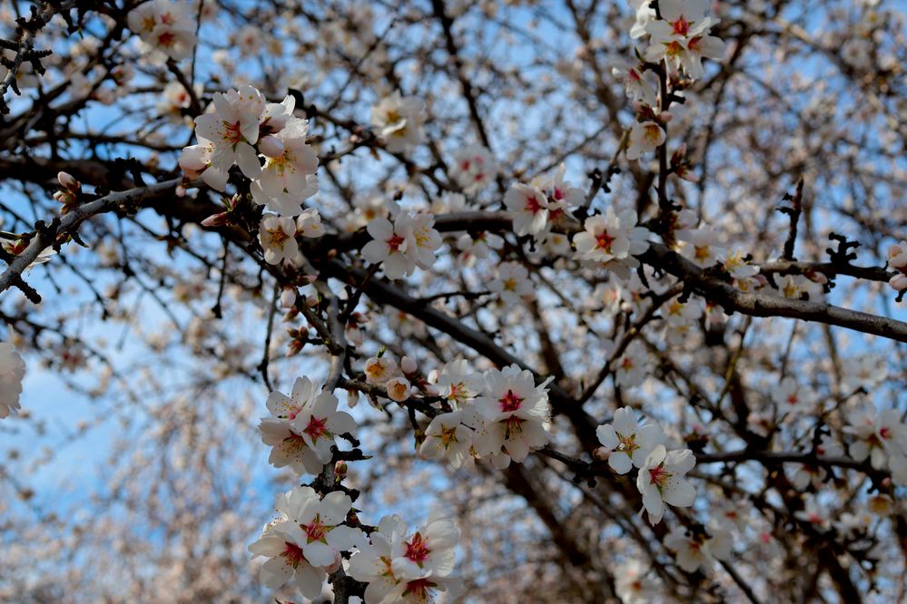 IMG_1405 copy.JPG
