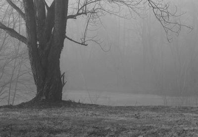 IMG_5739.JPG