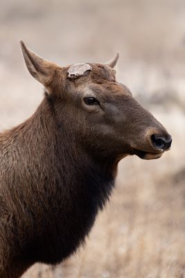 733A9590-Edit.jpg