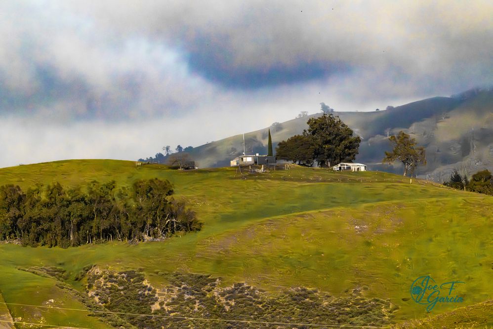 Sierra Vista  R5 Mark II & RF200-800mm IS USM  Handheld