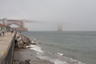 IMG_4016.jpg
