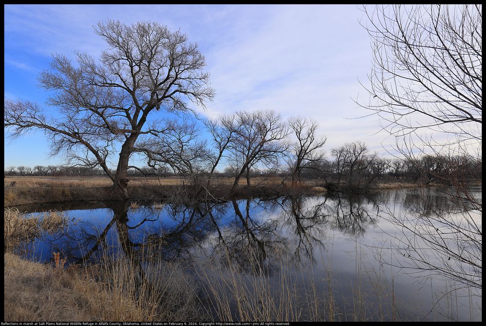 Reflections in marsh at Salt Plains National Wildlife Refuge in Alfalfa County, Oklahoma, United States on February 9, 2024 ; EOS R5 ; F Number 4.5 ; ISO 100 ; Shutter speed 1/400 ; Focal Length 20mm ; EF16-35mm f/4L IS USM
