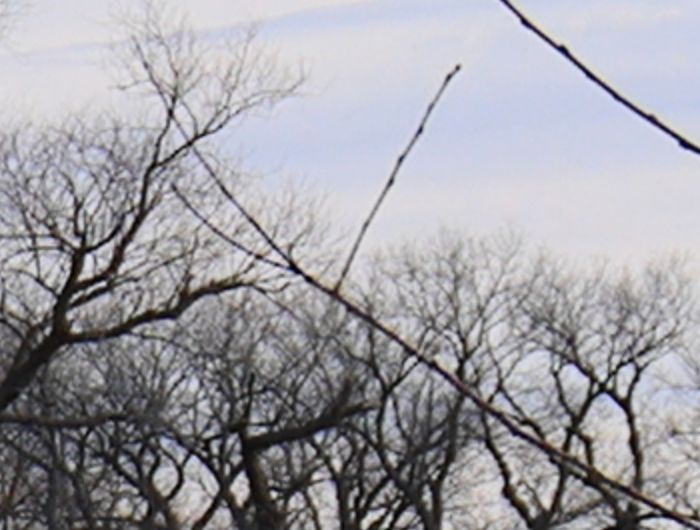 100% crop in DPP to show contrast at edges