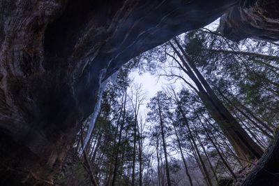_05A3392-HDR.jpg
