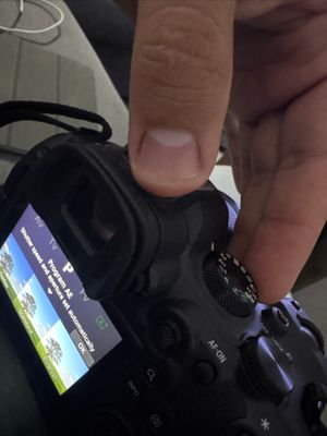 IMG_8973.jpeg