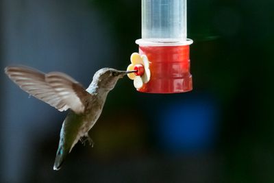 IMG_3279.jpg