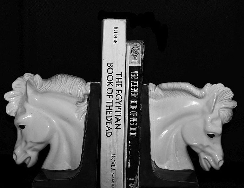 Light reading.jpg