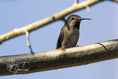 408A7998.jpg