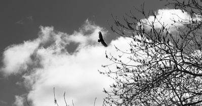 IMG_5964.JPG